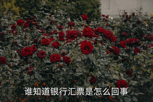 銀行匯是什么意思，銀行匯款是什么意思我準備在網(wǎng)上購物急急急