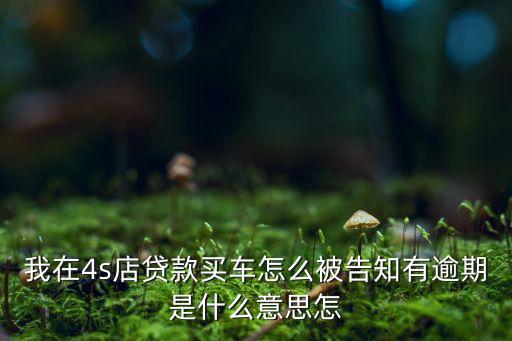 車貸按揭逾期什么意思，貸款逾期未還是什么意思