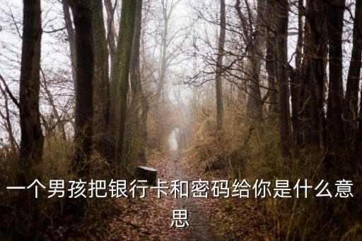 給我個信用卡卡號和密碼是什么意思，卡序號和卡密碼是什么意思