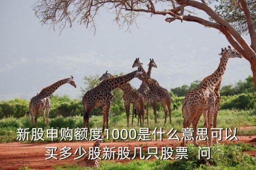 招聯(lián)額度1000能買什么，新股申購額度1000是什么意思可以買多少股新股幾只股票  問
