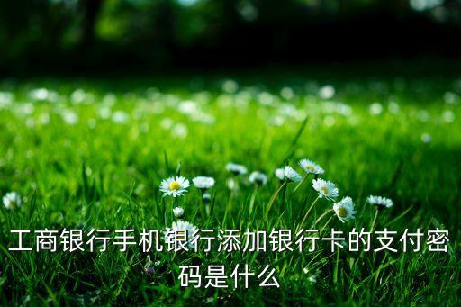 工商銀行手機(jī)銀行添加銀行卡的支付密碼是什么