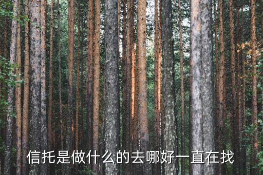 信托是做什么的去哪好一直在找