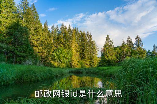 郵政網(wǎng)銀id是什么意思