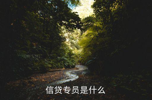 信貸專員是什么