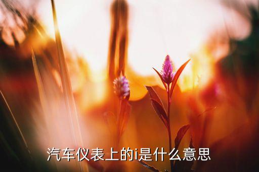 汽車儀表上的i是什么意思