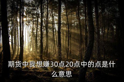 期貨中我想賺30點(diǎn)20點(diǎn)中的點(diǎn)是什么意思