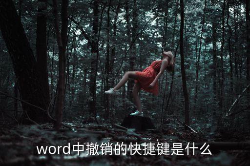 取消撤銷的快捷鍵是什么，word中撤銷的快捷鍵是什么