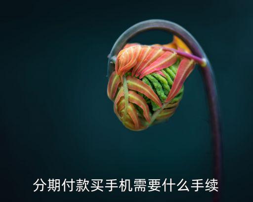 分期付款買手機需要什么手續(xù)