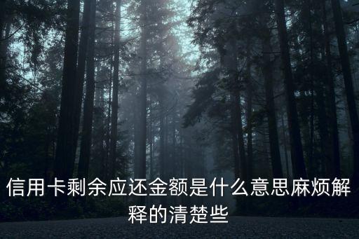 信用卡剩余應還金額是什么意思麻煩解釋的清楚些