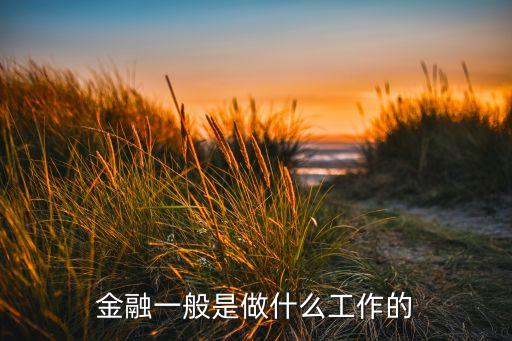 綜合金融是做什么的，金融一般是做什么工作的