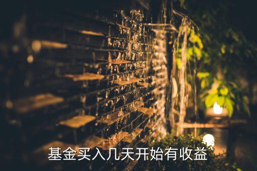 基金買(mǎi)入幾天開(kāi)始有收益