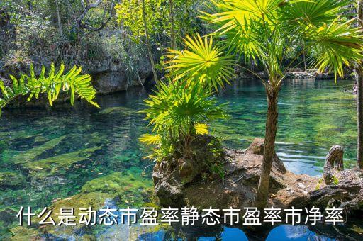什么是動(dòng)態(tài)市盈率，什么是動(dòng)態(tài)市盈率通俗點(diǎn)講