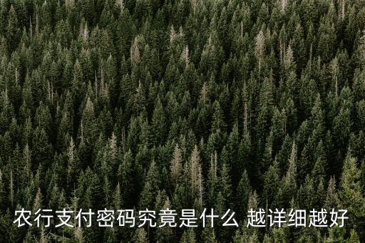 農(nóng)行支付密碼究竟是什么 越詳細越好