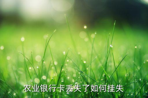 農(nóng)業(yè)銀行卡丟失了如何掛失