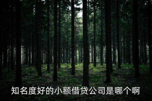 有什么好點(diǎn)的小貸公司，哪些小貸公司比較好