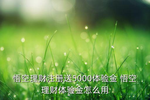 悟空理財(cái)注冊送5000體驗(yàn)金 悟空理財(cái)體驗(yàn)金怎么用