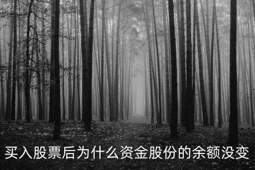 買入股票后為什么資金股份的余額沒變
