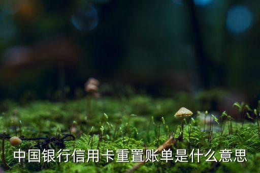 信用卡重置的意思是什么意思，中國銀行卡掛失和重置是什么意思