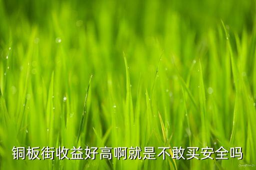 銅板街收益好高啊就是不敢買安全嗎