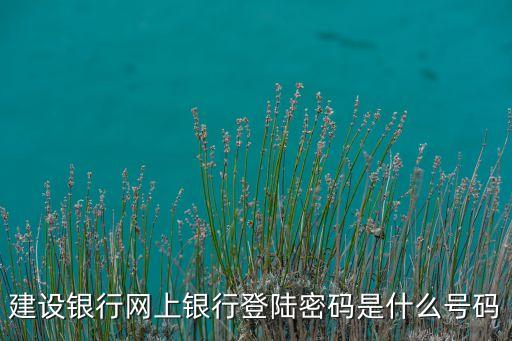 建設銀行登錄網(wǎng)銀登錄密碼是什么，建設銀行網(wǎng)上銀行的登錄密碼是什么