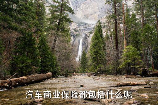 車險保險單都包含什么，車險投保單包含哪些信息