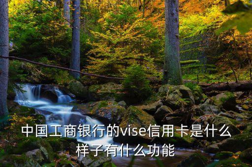 中國(guó)工商銀行的vise信用卡是什么樣子有什么功能