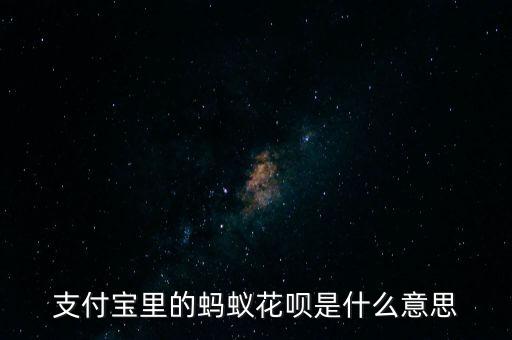 支付寶里的螞蟻花唄是什么意思