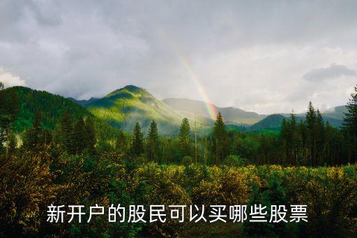 新開戶的股民可以買哪些股票
