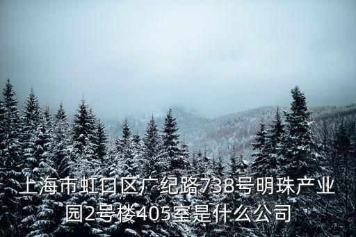 虹口區(qū)廣紀路738號屬于什么街道，上海市虹口區(qū)廣紀路19號是什么單位