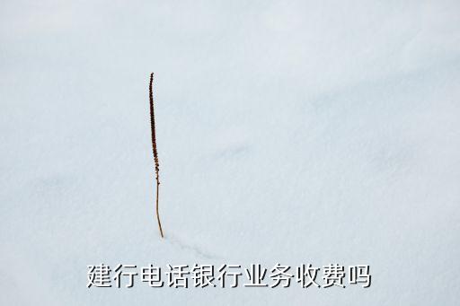 銀行什么業(yè)務(wù)需要收費(fèi)嗎，建行電話銀行業(yè)務(wù)收費(fèi)嗎