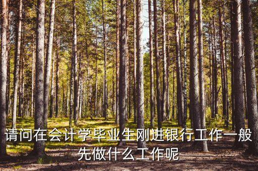 銀行工作先做什么工作，剛考進(jìn)銀行后都干些什么工作