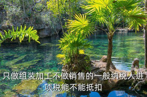 金稅貸是什么意思，我公司收到的進項票有多的沒驗的那張丟了有關系嗎