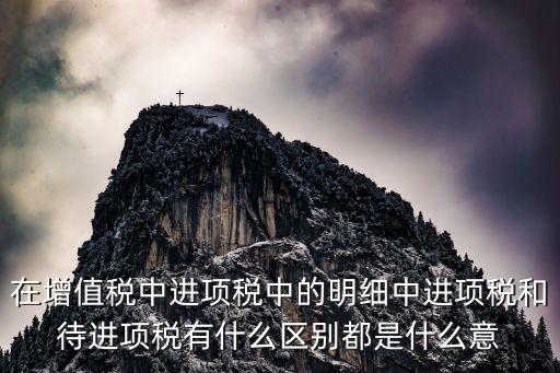 進(jìn)待是什么意思是什么意思是什么意思啊，寶冢 出入待 什么意思