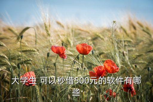 大學(xué)生 可以秒借500元的軟件有哪些