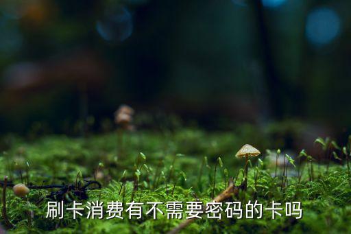 刷卡消費(fèi)有不需要密碼的卡嗎