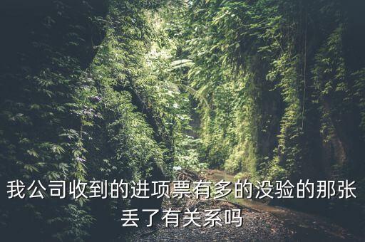我公司收到的進項票有多的沒驗的那張丟了有關(guān)系嗎