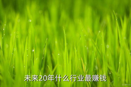 未來(lái)20年什么行業(yè)最賺錢
