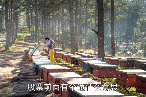 股票前面有個(gè)通什么意思