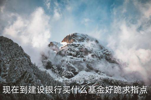現(xiàn)在到建設銀行買什么基金好跪求指點