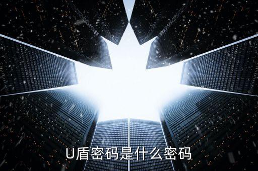 卡u盾的密碼是什么，U盾密碼是什么密碼
