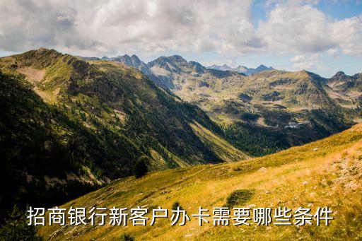 招行首卡選什么條件，招商銀行新客戶辦卡需要哪些條件