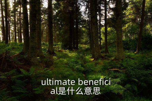 信托受益權(quán)是什么意思，taxable benefit 是什么意思