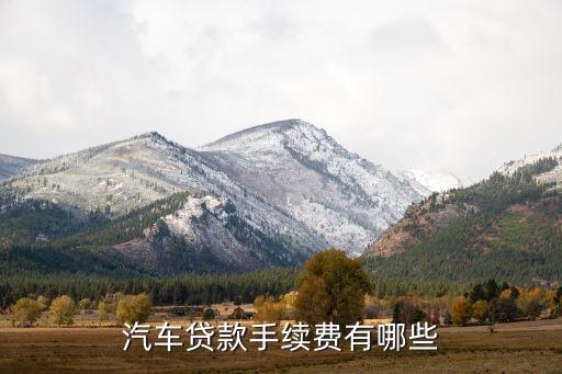 汽車(chē)貸款手續(xù)費(fèi)有哪些