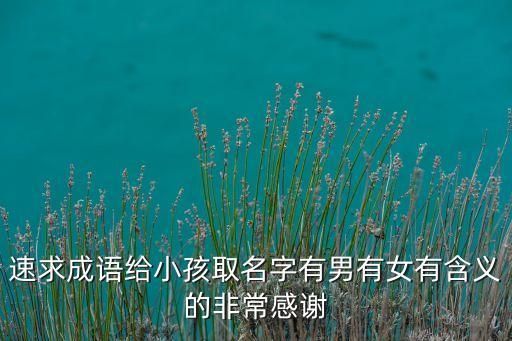 速求成語給小孩取名字有男有女有含義的非常感謝
