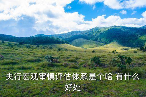 mpa銀行是什么意思，如何理解宏觀審慎評(píng)估體系