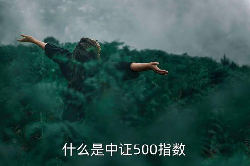 中證500指數(shù)基金是什么意思，什么是中證500指數(shù)