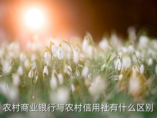 農(nóng)信和農(nóng)商什么區(qū)別，農(nóng)村信用社和農(nóng)商銀行有什么區(qū)別