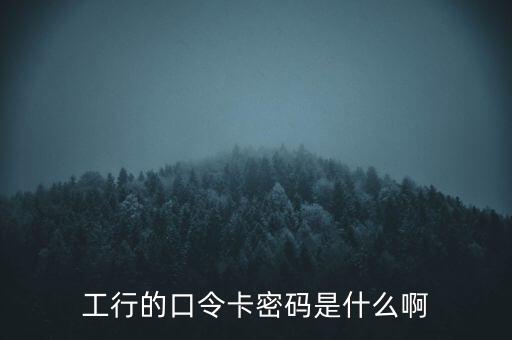 工行的口令卡密碼是什么啊