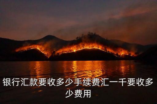 銀行匯款要收多少手續(xù)費匯一千要收多少費用