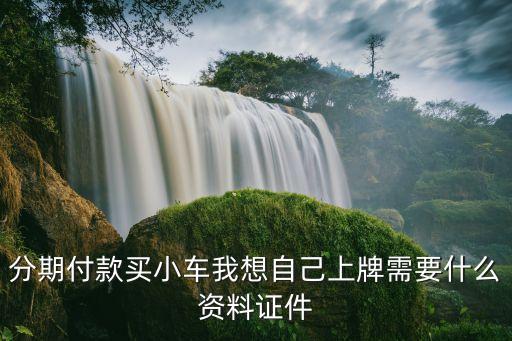 分期付款買(mǎi)小車(chē)我想自己上牌需要什么資料證件